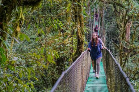 BIJAGUA HANGING BRIDGES RAINFOREST WALK AND SLOTHS